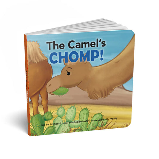 Animals Pray, Too! Animal Board Book