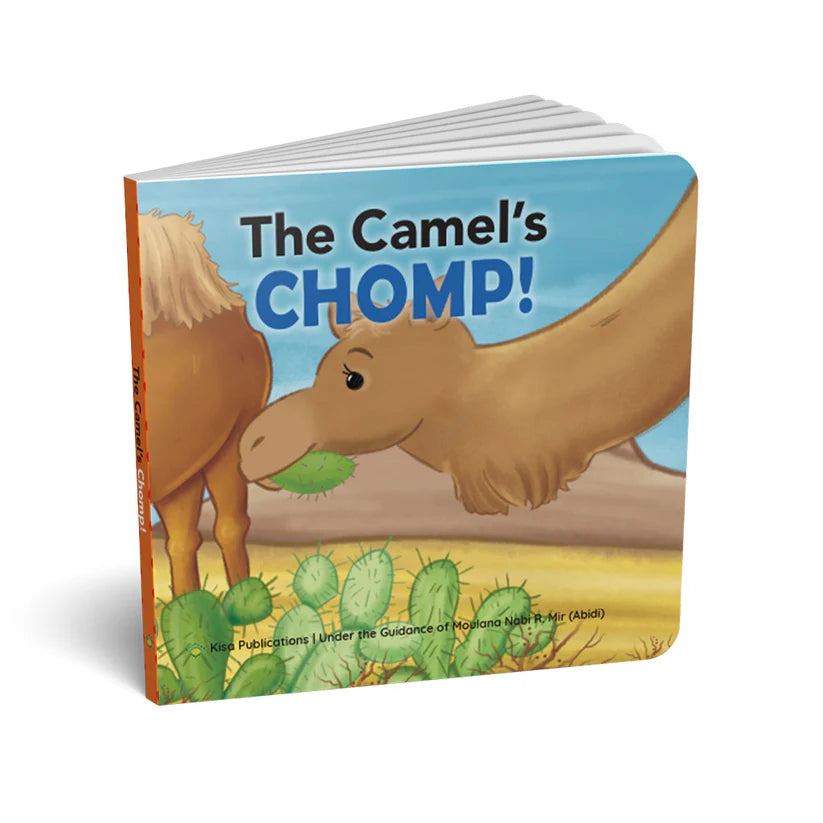 Animals Pray, Too! Animal Board Book